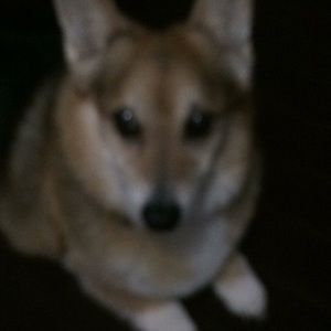 Meet your Posher, Reynaldo